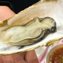 석화 이미지