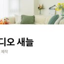 스튜디오달