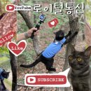 로이통신 - 구로구 새말로 97 | 로이통신