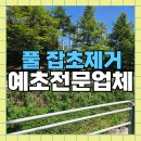 효령로33길 50 (1) | 풀잡초제거전문업체 안전하게예초작업