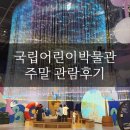 세종국립어린이박물관 주말 기획·상설전시 1회차 솔직후기