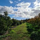 간양농장 이미지