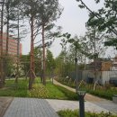 신촌숲 2 이미지