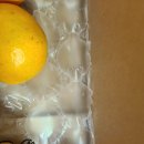 파인앤듀 | [푸드] 파인앤듀 귤테랑 감귤3Kg 주문 후기