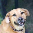 성남동물병원 이미지