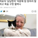 냥냥펀치 이미지