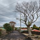 난산리경로당 이미지