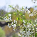 제일경희한의원 이미지