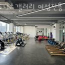 갤러리휘트니스 이미지