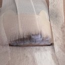 비엘티의원 | 동대문 속눈썹펌 잘하는 곳 르엘브로우 후기(블랙틴트+영양케라틴펌)