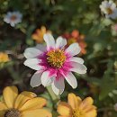 에머랄드빌딩 | 김포공항 직접주차 국내선 1주차장 할인 후기