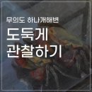 무의도 하나개 호룡곡산 꿀잼컨텐츠, 도둑게 만나기