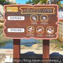 바우길 12구간 | [강원도_강릉시] 동해가 품은 아름다운 바다공원 &#39;아들바위공원(소돌/기암괴석)&#39;