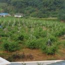 이화만리마을 이미지