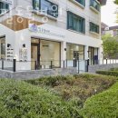 분당필동물병원 이미지