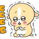 별별강아지 이미지