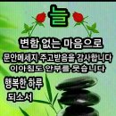 밤마다 꿀잠을 잘수있는 노하우 이미지