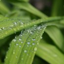 연가리맑은터 이미지