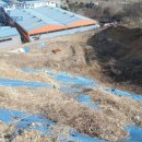 신산리-3 이미지