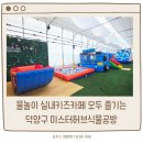 충장로 350번길 | 고양 덕양구 아이랑 갈만한곳 미스터허브공방 실내키즈카페 물놀이장 재방문후기
