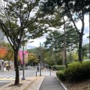 도촌중학교 이미지