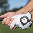 예산장갑 이미지