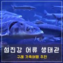 섬진강사랑의집 | 구례 섬진강 어류 생태관, 유모차 휠체어 모두 가능한 가족 체험 여행