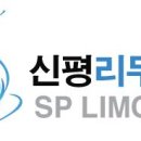 피오나배