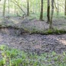 지구촌학원 이미지