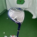 SG골프 한밭대로점 | 부여 골프샵 여성 드라이버 우드 유틸리티 시타해보고 마제스티 sg 전부 교체 한 후기
