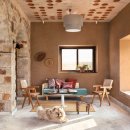 Design Dog 이미지