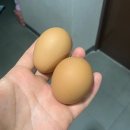 알참참(주)농업회사법인 이미지