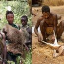 대륙개발 이미지