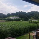 지선농장 이미지