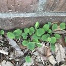 삼계초등학교 이미지