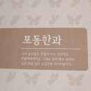 포동청년회영농조합법인 이미지