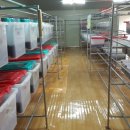 초가집 농장 이미지