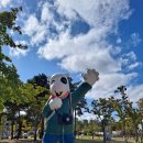 ㅊㅊ[춘천-청춘] 이미지