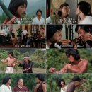취권 ( Drunken Master, 醉拳, 1978 ) 이미지