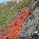 081003신불산(베네치아-신불산-영축산-청수골산장) 이미지