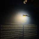 자연사랑 미술관 | 일상 기록18🪄(서울 성수전시추천｜뚝섬미술관 ‘사랑의 단상’ 솔직후기)