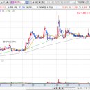 에스비아이코리아 이미지