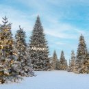 축구센터 다목적광장 이미지