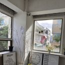 평화와평화;식물상점 이미지
