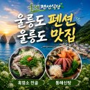 쉐르빌관광펜션 | 울릉도 자유여행 2박3일 코스 울릉도 숙소 저동항 맛집 올레식당 올레펜션 추천
