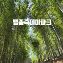 (주)상산골푸른숲 | 거제 맹종죽테마파크 아이와 대나무숲 산책부터 짚라인, 카페까지