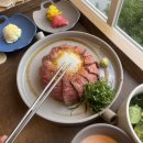 요술옷장 네이버블로그