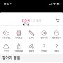심쿵펫 이미지
