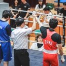 모던복싱클럽 향동 이미지