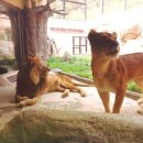 송영농장 이미지